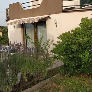  Appartamento Lavinia